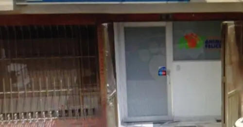CLINICA VETERINARIA ANIMALES FELICES VILLA HERMOSA CLINICA VETERINARIA ANIMALES FELICES VILLA HERMOSA